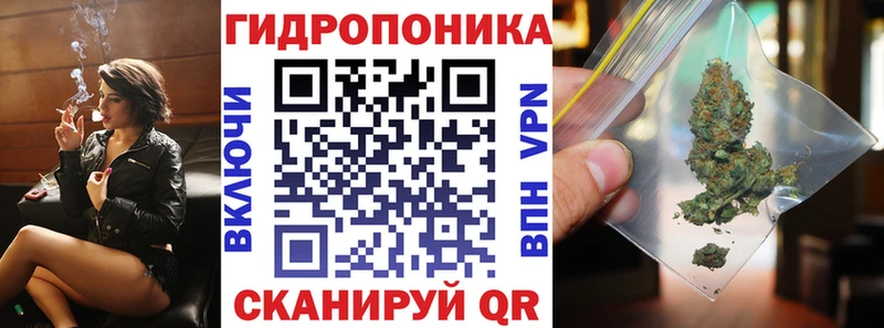 Что такое Вязники АМФ  ГАШ 