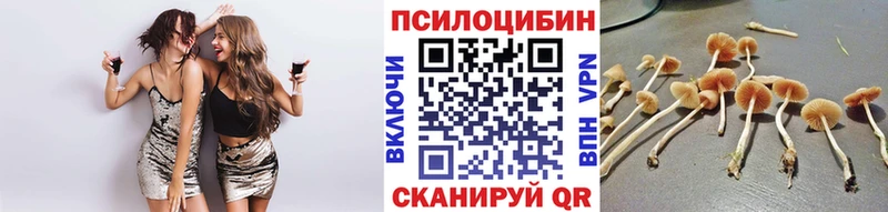 Галлюциногенные грибы ЛСД  закладка  Вязники 