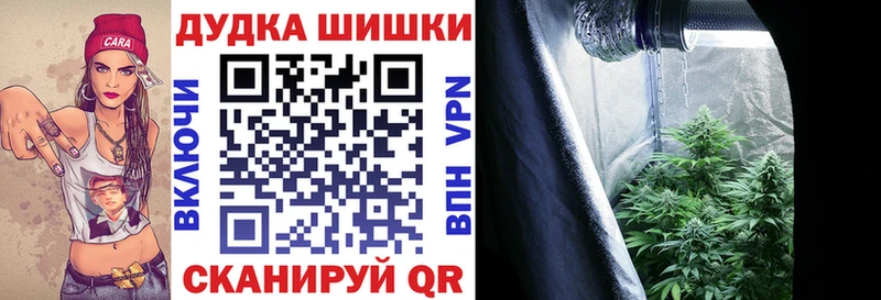 MEGA Вязники Марихуана семена